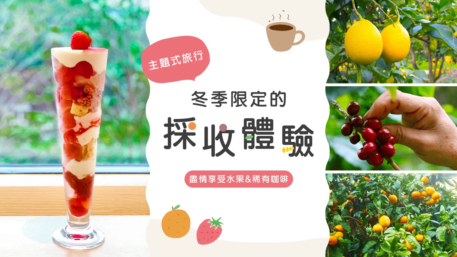 【冬季限定】採收體驗!福井縣草莓、和歌山檸檬、沖繩咖啡園&千葉蜜柑