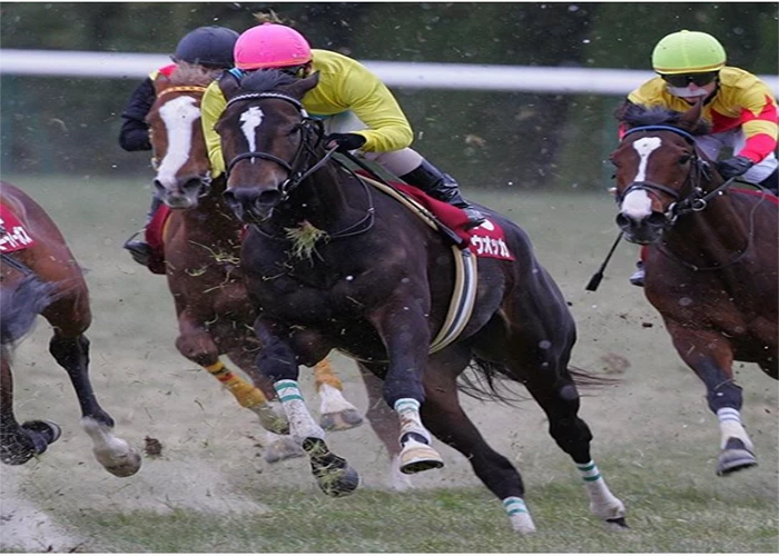 日本的賽馬宛如小型園遊會，跟著我一起體驗鮮為人知的日本競馬文化