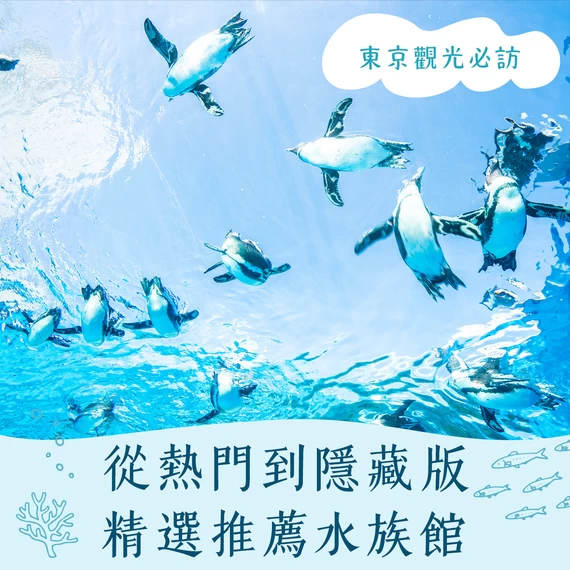 【東京觀光必去】從經典到隱藏景點的 9 大推薦水族館