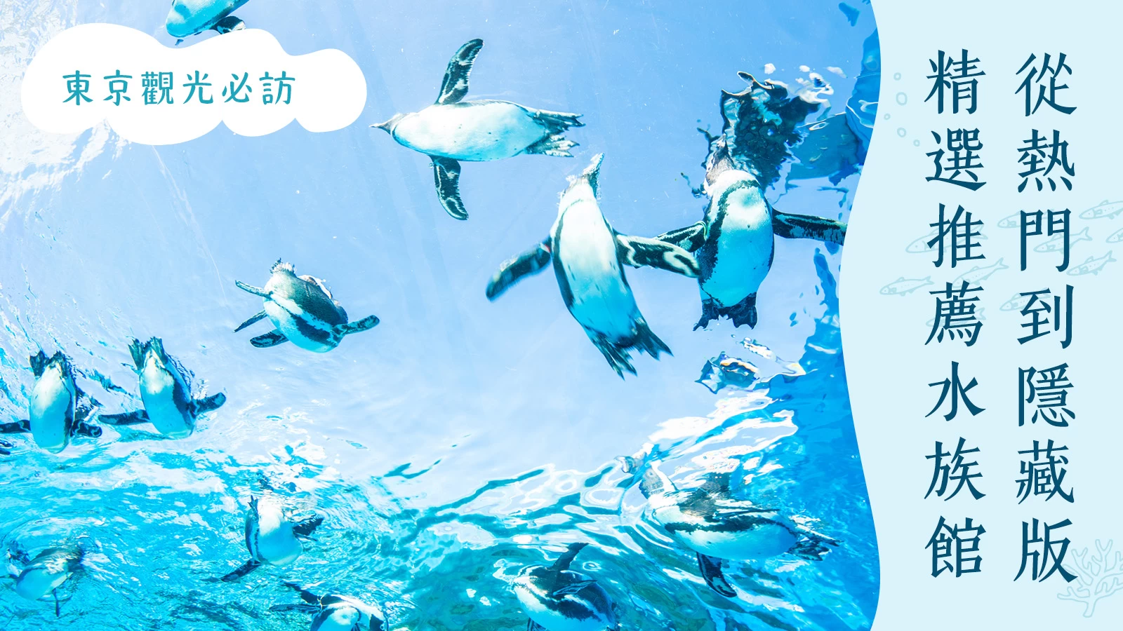 【東京觀光必去】從經典到隱藏景點的 9 大推薦水族館