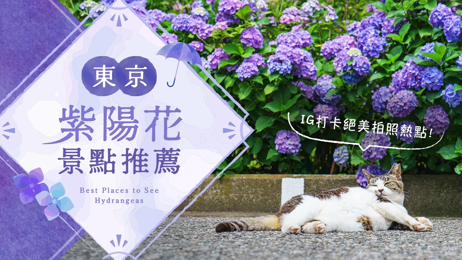 【關東・東京】紫陽花知名景點13選！絕對好拍的夢幻景點推薦
