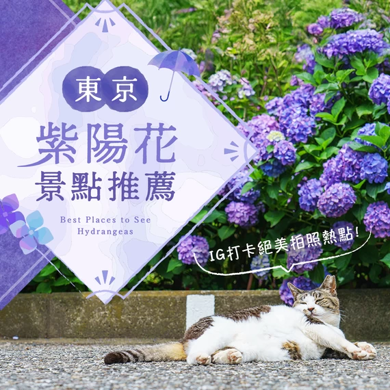 【關東・東京】紫陽花知名景點13選！絕對好拍的夢幻景點推薦