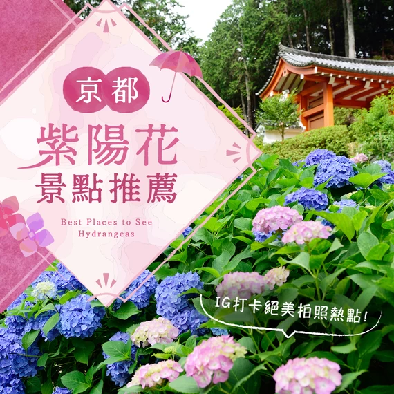 【關西・京都】紫陽花知名景點10選！絕對好拍的夢幻景點推薦