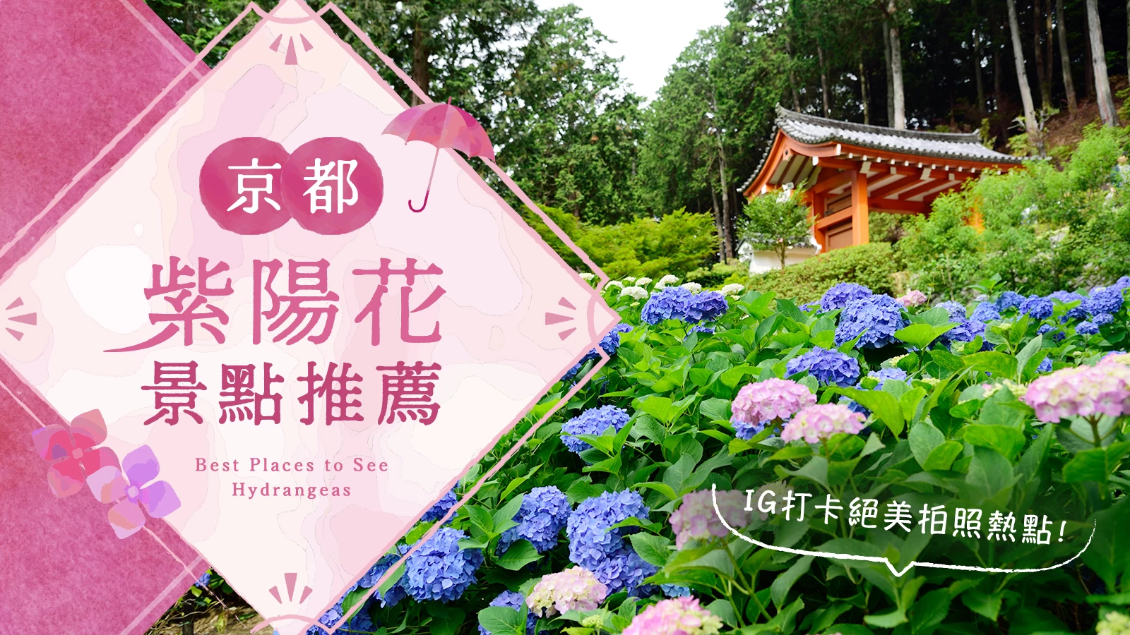 【關西・京都】紫陽花知名景點10選！絕對好拍的夢幻景點推薦