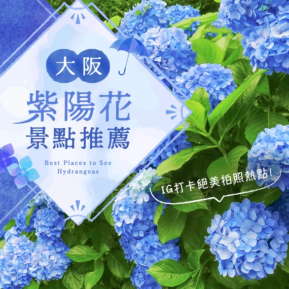 【關西・大阪】紫陽花知名景點12選！絕對好拍的夢幻景點推薦