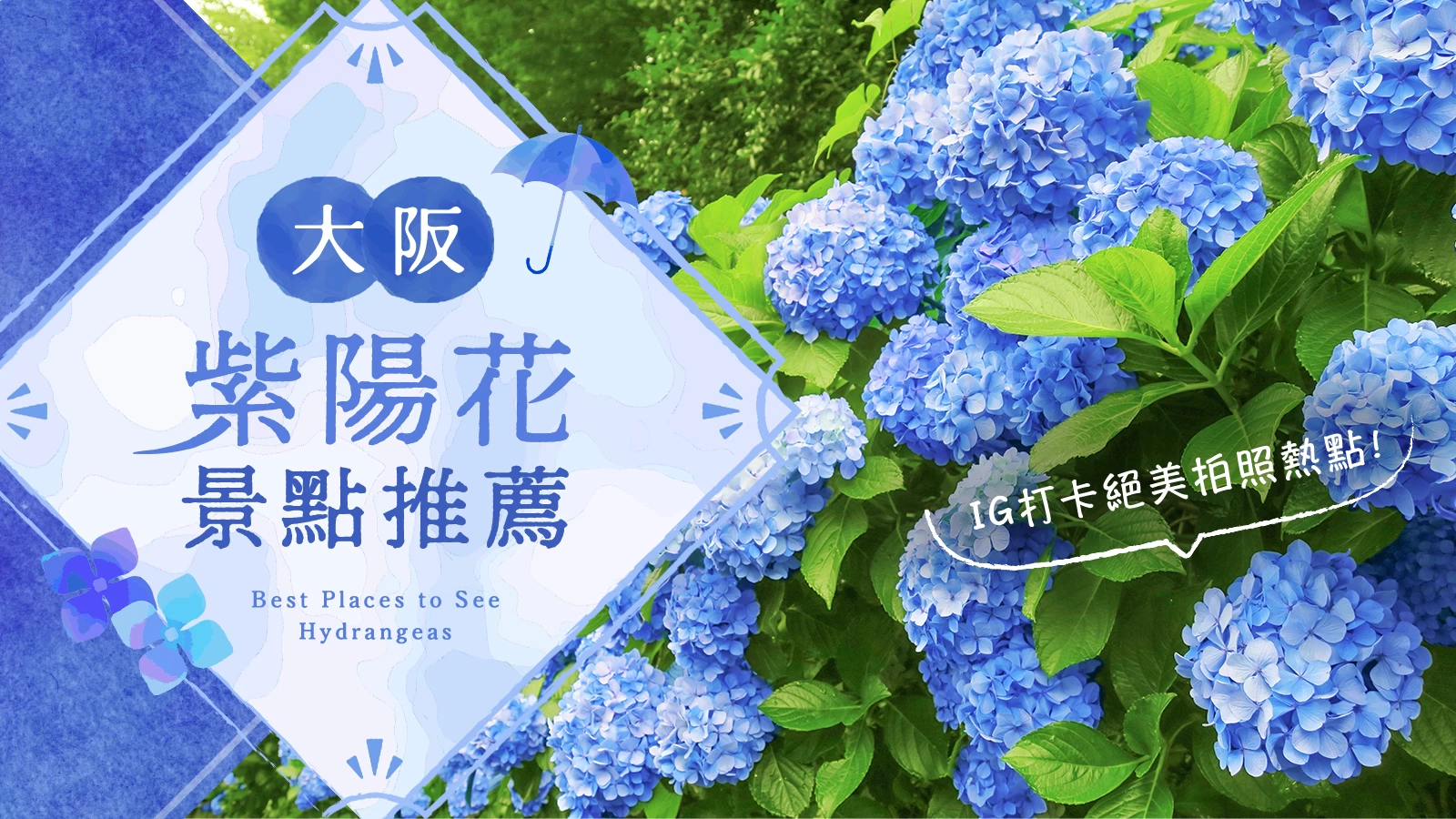 【關西・大阪】紫陽花知名景點12選！絕對好拍的夢幻景點推薦