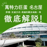徹底解析萬特力巨蛋名古屋！從評價、交通方式到周邊觀光景點一次掌握！