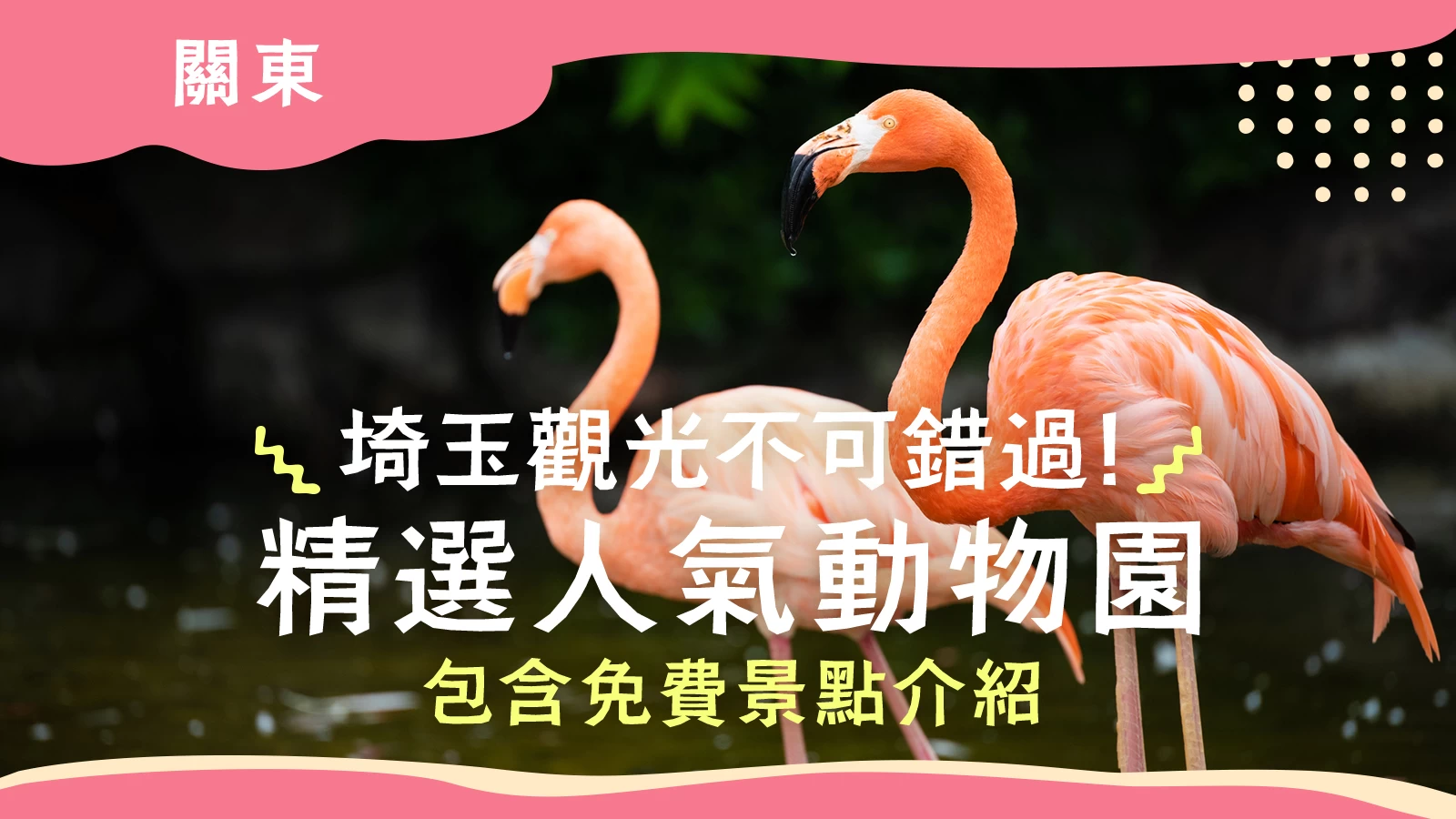 【關東】埼玉觀光不可錯過的推薦動物園6選｜免費景點也一併介紹