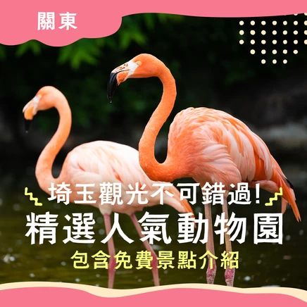 【關東】埼玉觀光不可錯過的推薦動物園6選｜免費景點也一併介紹
