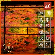 【2026年・京都觀光】紅葉名所＆私房景點32選！最佳賞楓時間、夜間點燈資訊總整理
