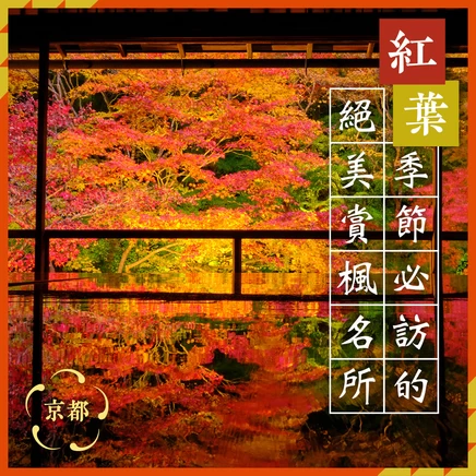 【2026年・京都觀光】紅葉名所＆私房景點32選！最佳賞楓時間、夜間點燈資訊總整理